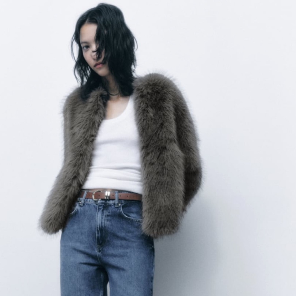 Zara Short Faux Fur Jacket NWT SZ M